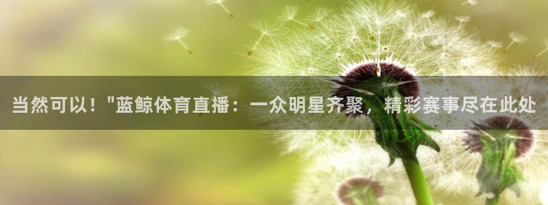 当然可以！\