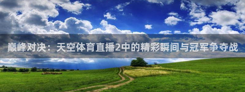 巅峰对决：天空体育直播2中的精彩瞬间与冠军争夺战