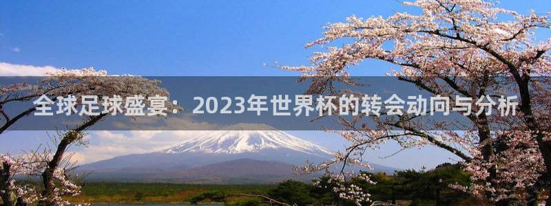 全球足球盛宴：2023年世界杯的转会动向与分析