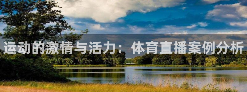 运动的激情与活力：体育直播案例分析
